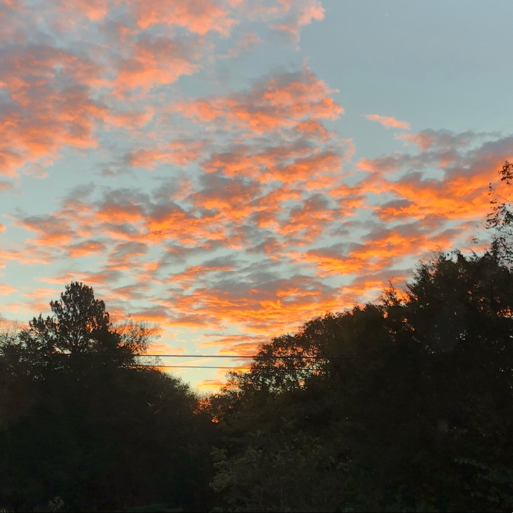 Meet your Posher, Hayley